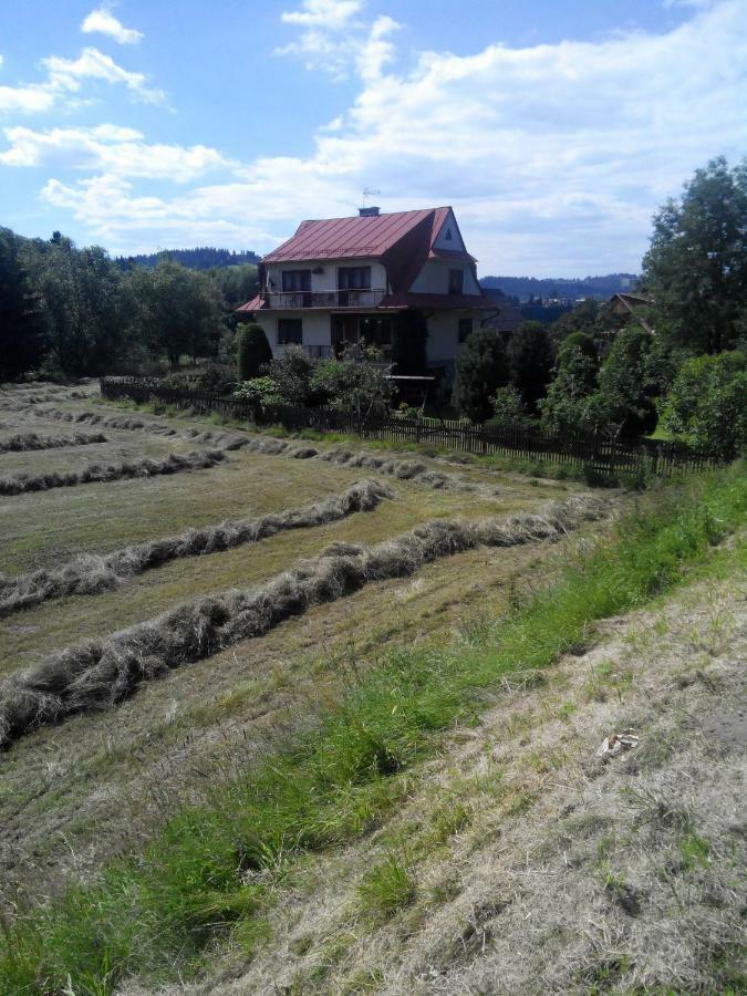 Apartament Widok Czarna Góra Kültér fotó